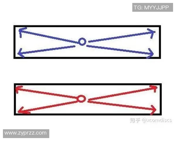 深入分析北京网球队防守策略与战术特点的专业解读