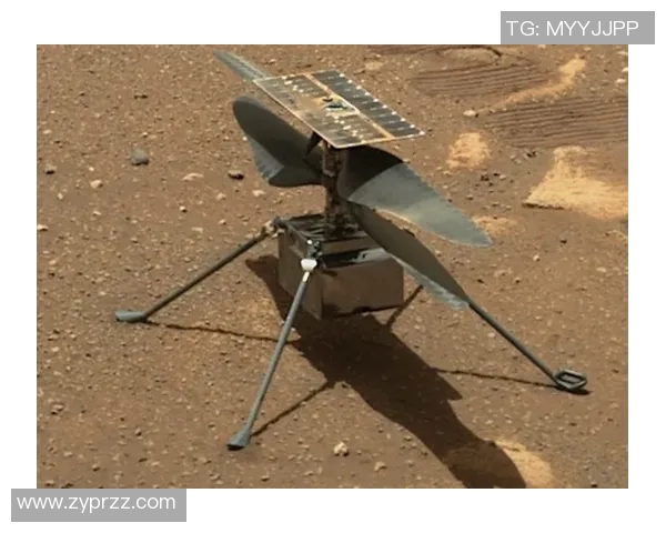 足球明星抵达城市瞬间下飞机视频引发球迷热议和欢呼声 足球明星抵达城市瞬间下飞机视频引发球迷热议和欢呼声